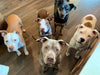 Donation Product Image